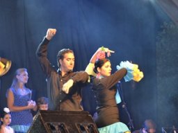 Festival de Folkore en Mula